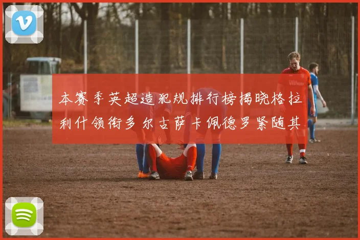 本赛季英超造犯规排行榜揭晓格拉利什领衔多尔古萨卡佩德罗紧随其后